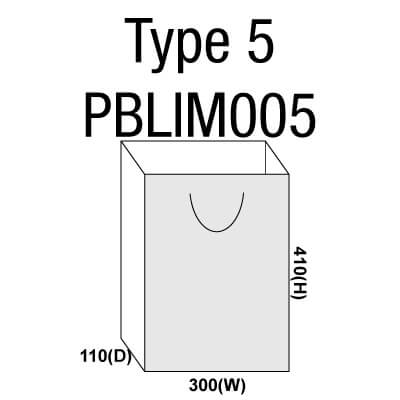 Large Paper Bag PBLIM005