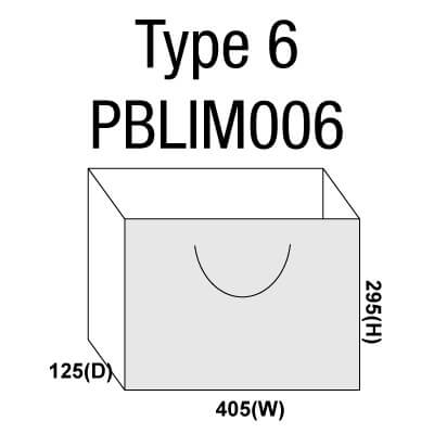 Large Paper Bag PBLIM006