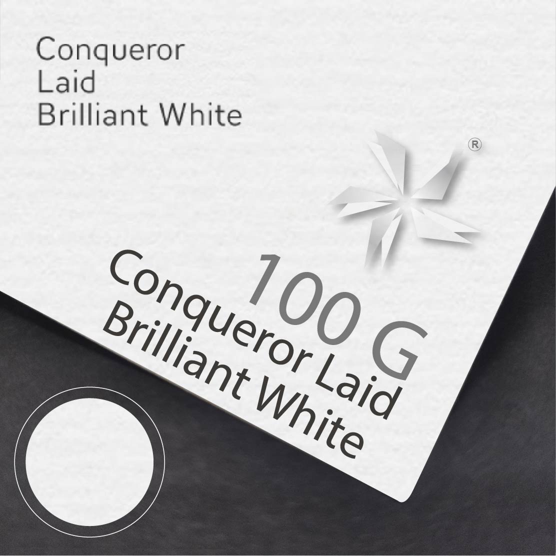 Brilliant White Laid 100gsm